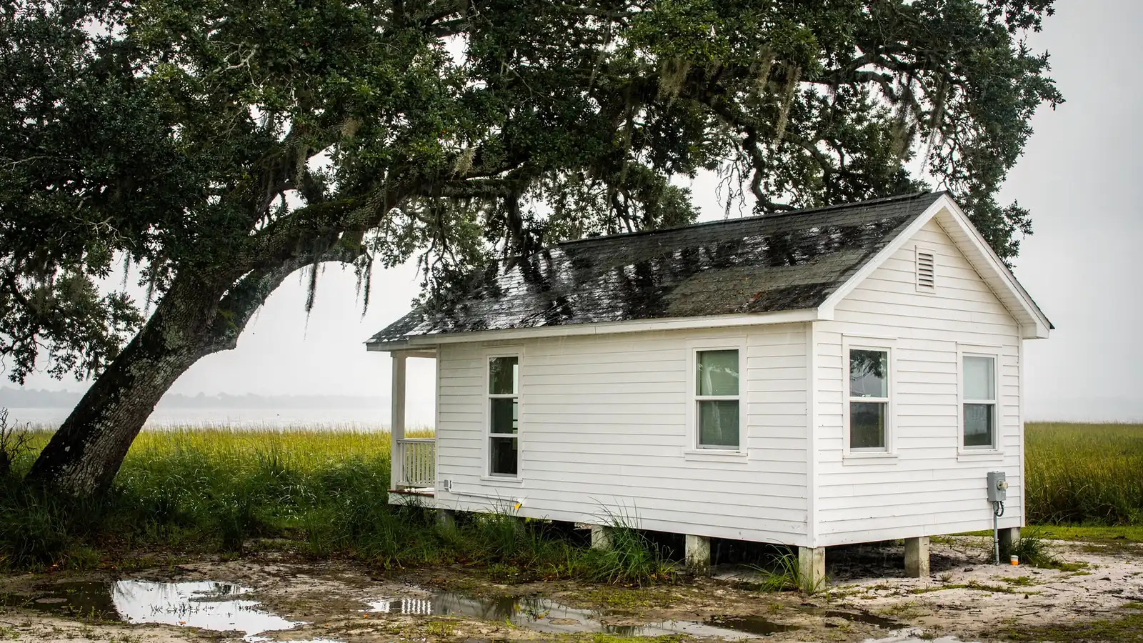 A low white cottage beside marsh grass and open water, its wet grey shingle roof shaded by a live oak hung with Spanish moss.